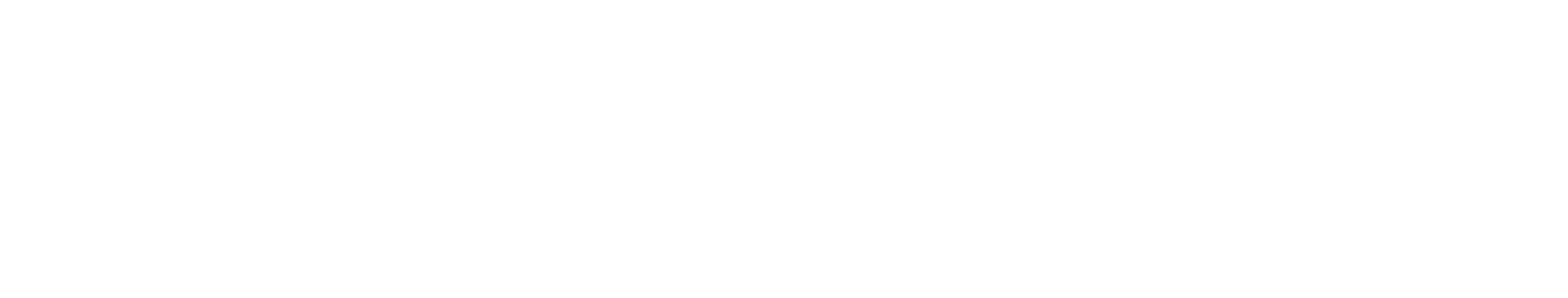 Global Cultural Adventurers