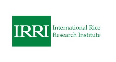 International Rice Research Institute - Global Cultural Adventurers